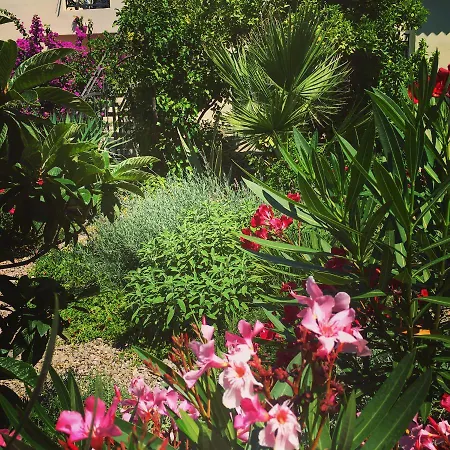 בית הארחה Vice 3*