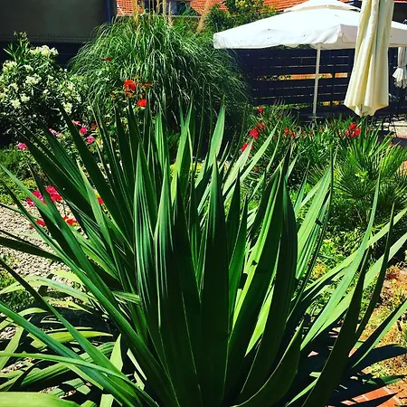 בית הארחה Vice 3*