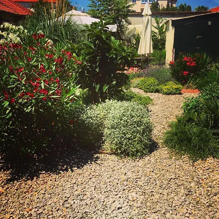 Vice בית הארחה 3*