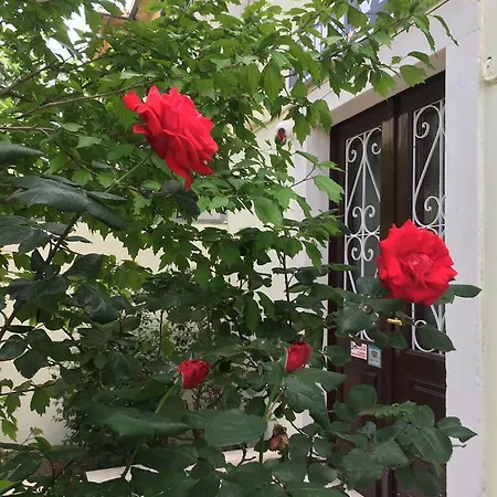 בית הארחה Vice 3*