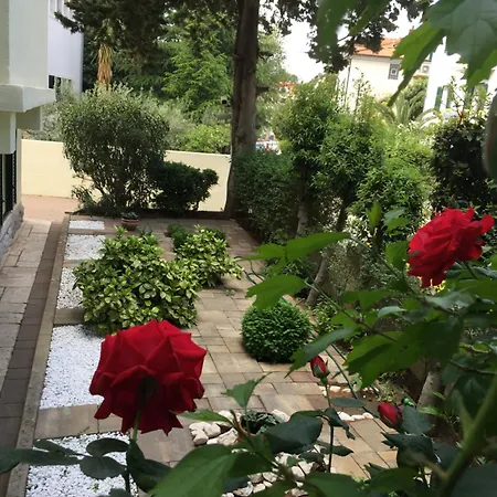 Vice בית הארחה 3*