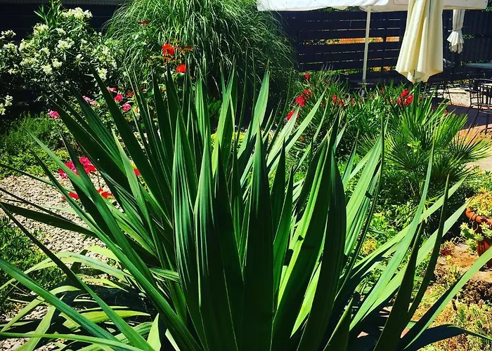 Πανσιόν Vice 3*