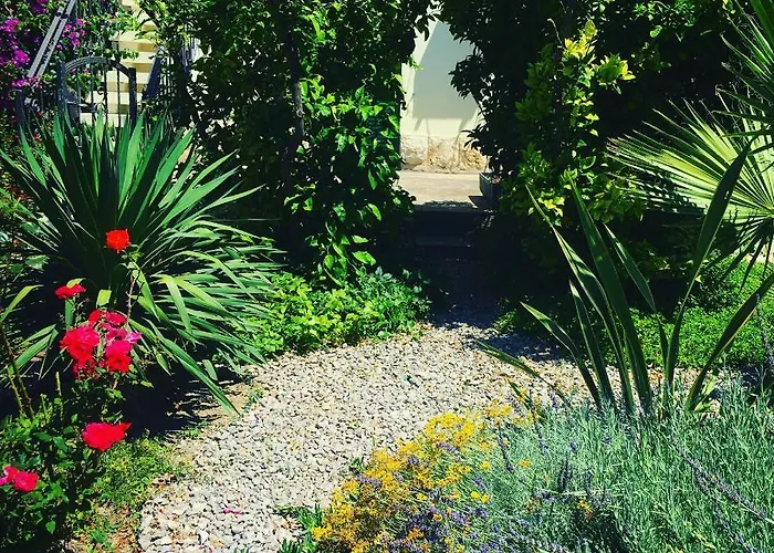 Guesthouse Villa Vice Гостевой дом 3*