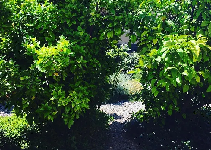 Гостевой дом Guesthouse Villa Vice 3*