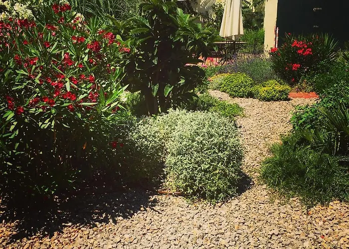 Vice Πανσιόν 3*