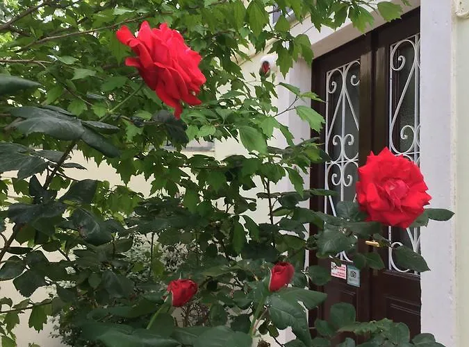 Гостевой дом Guesthouse Villa Vice 3*