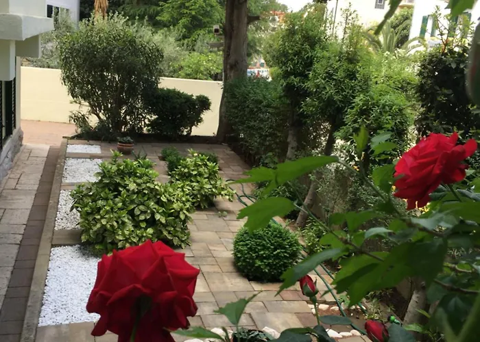 Guesthouse Villa Vice Гостевой дом 3*